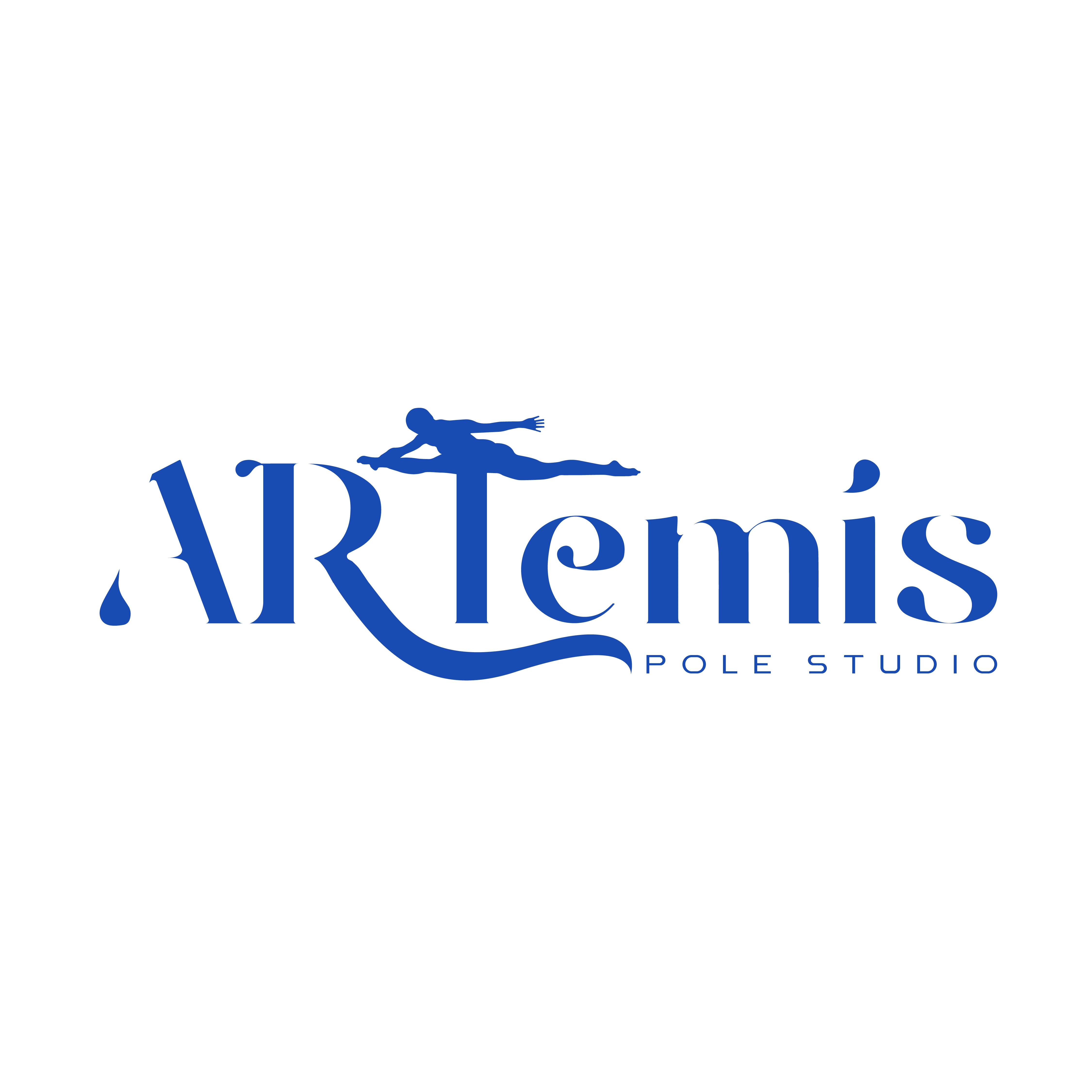 ARTemis Pole Studio Ltd logo