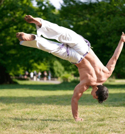 Capoeira Flow
