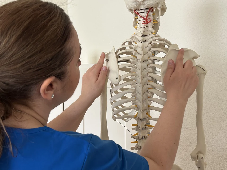 Carmela Guida Studio - Osteopathy, Pilates and Ballet in Putney SW15 — Wandsworth dance studio interior