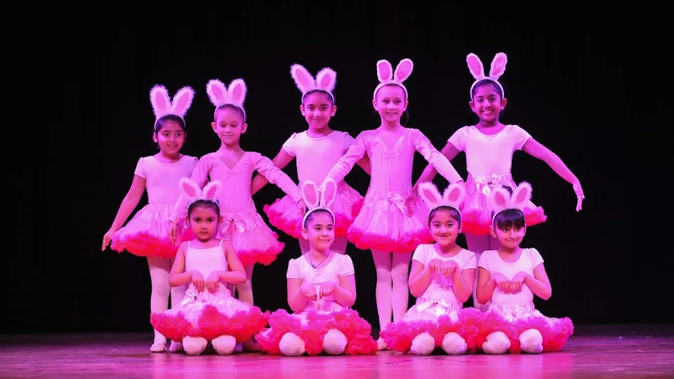Anita Arora Dance Company