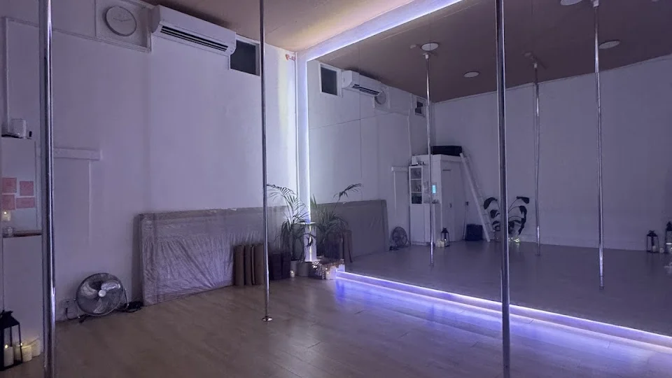 Palace Studio - Boutique Pole Studio