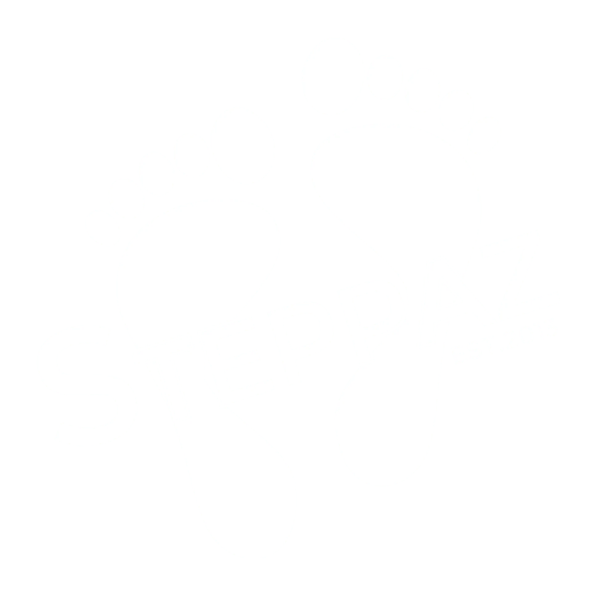 Footprint logo with text