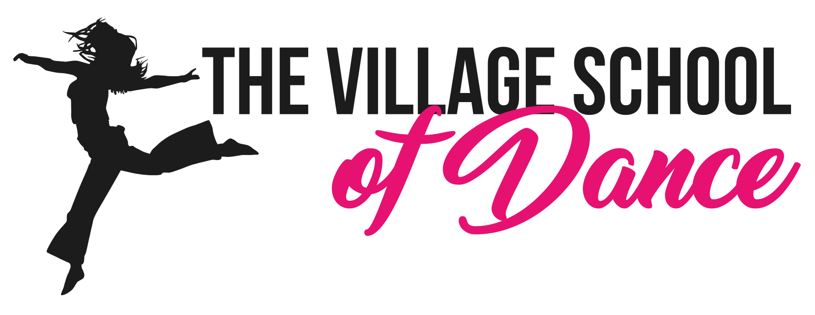Logo of The Village School of Dance